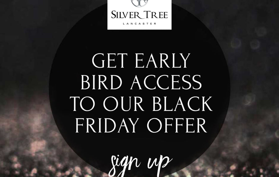 Black Friday Promotion 2022