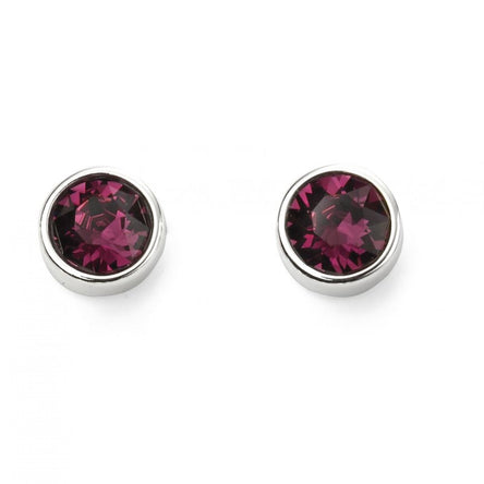 Gecko February Birthstone Amethyst Crystal Stud Earrings