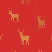 Reindeer