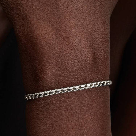 Pandora Round Clasp Wing Chain Bracelet