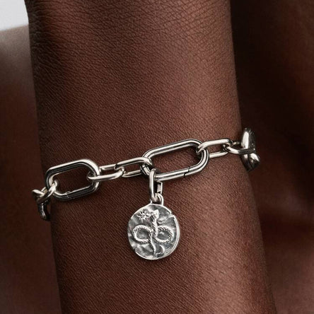 Pandora Infinity Snake Medallion Charm