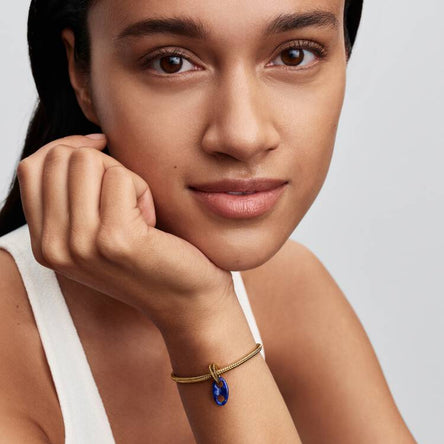 Pandora Mariner Link Dangle Charm