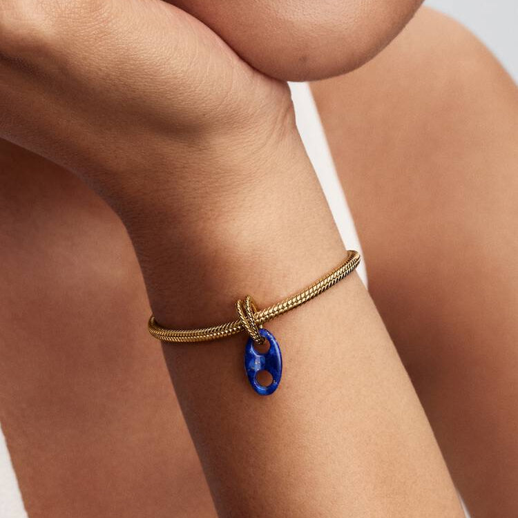 Pandora Mariner Link Dangle Charm