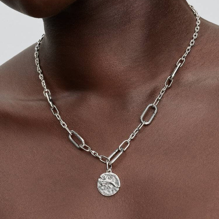 Pandora Dolphin Medallion Charm