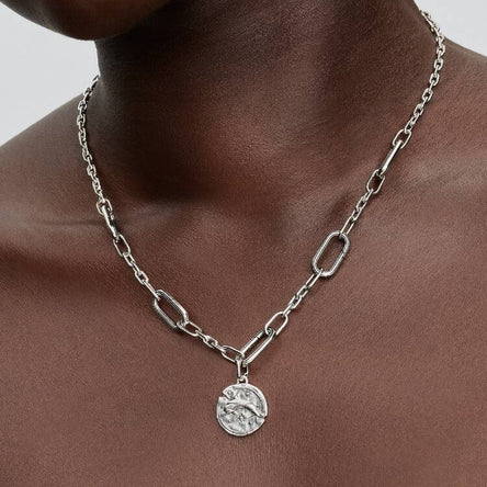 Pandora Dolphin Medallion Charm