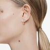 Swarovski Matrix Gold Plated Mini Hoops