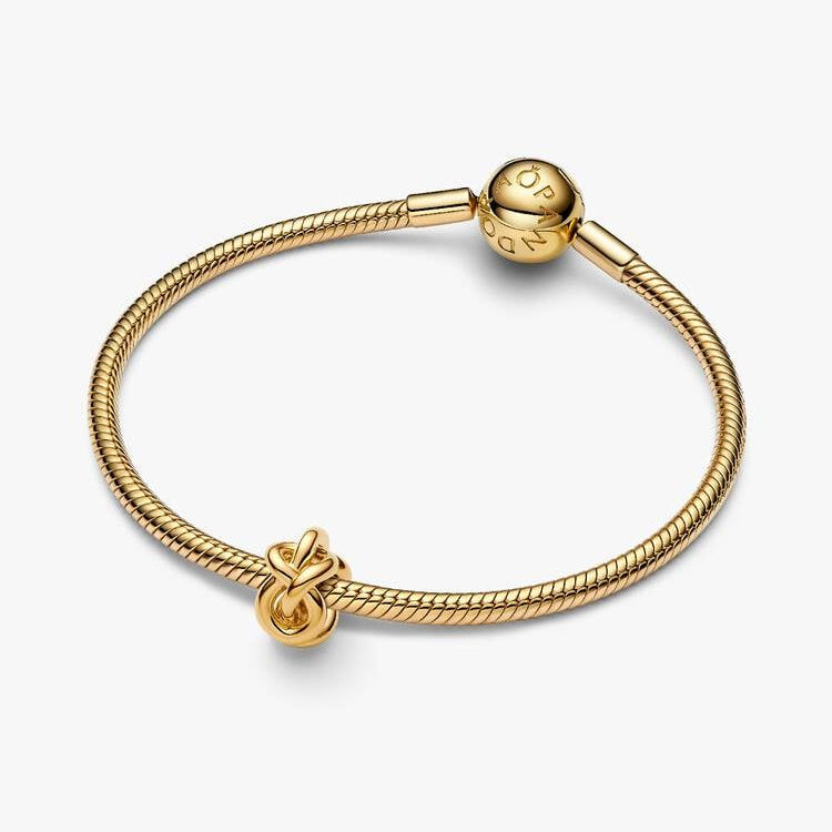 Pandora Infinity Knot Charm
