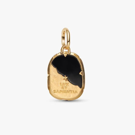 Pandora Owl Medallion Charm