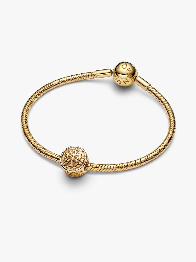 Pandora Openwork Family Roots Charm