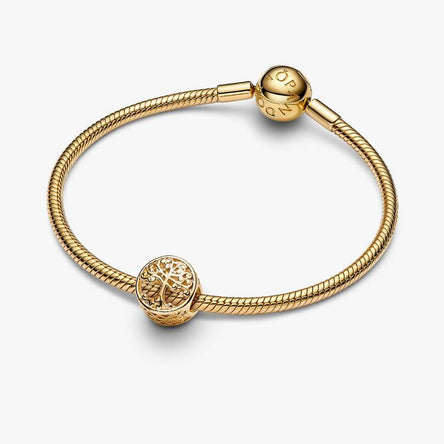 Pandora Openwork Family Roots Charm