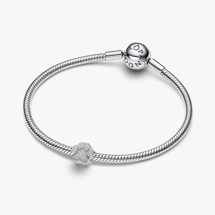 Pandora Textured Paw Mini Charm