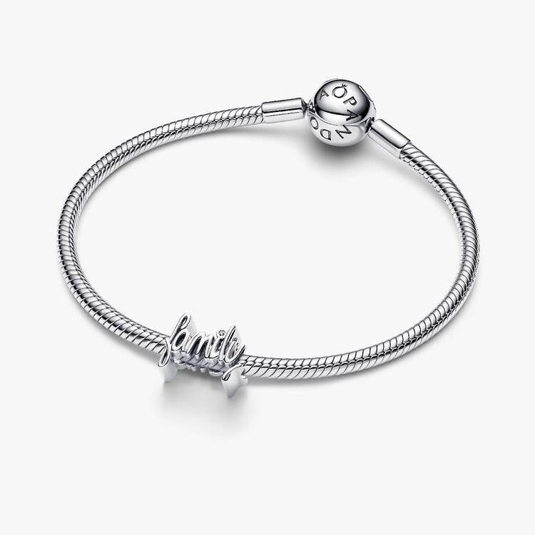 Pandora Family CZ Charm