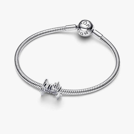 Pandora Family CZ Charm