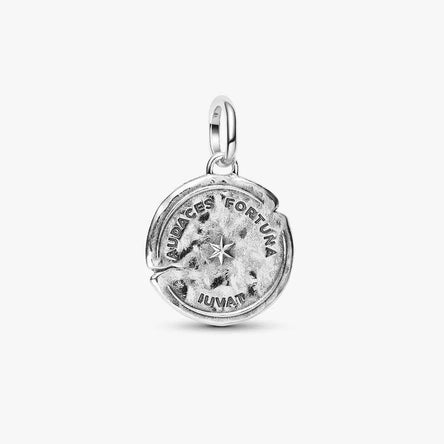 Pandora Dolphin Medallion Charm