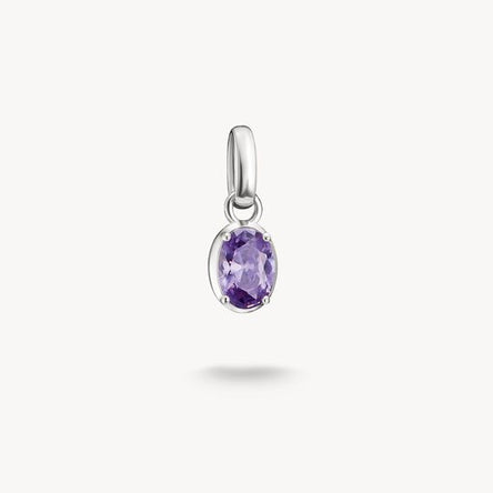 Thomas Sabo February Birthstone Connect Charm