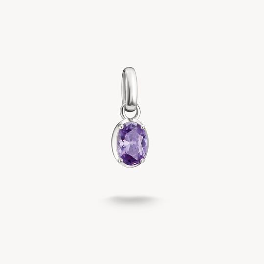 Thomas Sabo February Birthstone Connect Charm