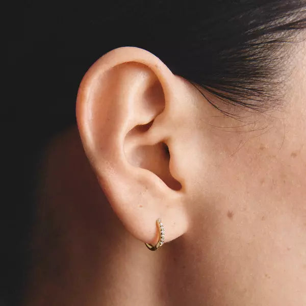Thomas Sabo Gold Plated Zirconia Hoops