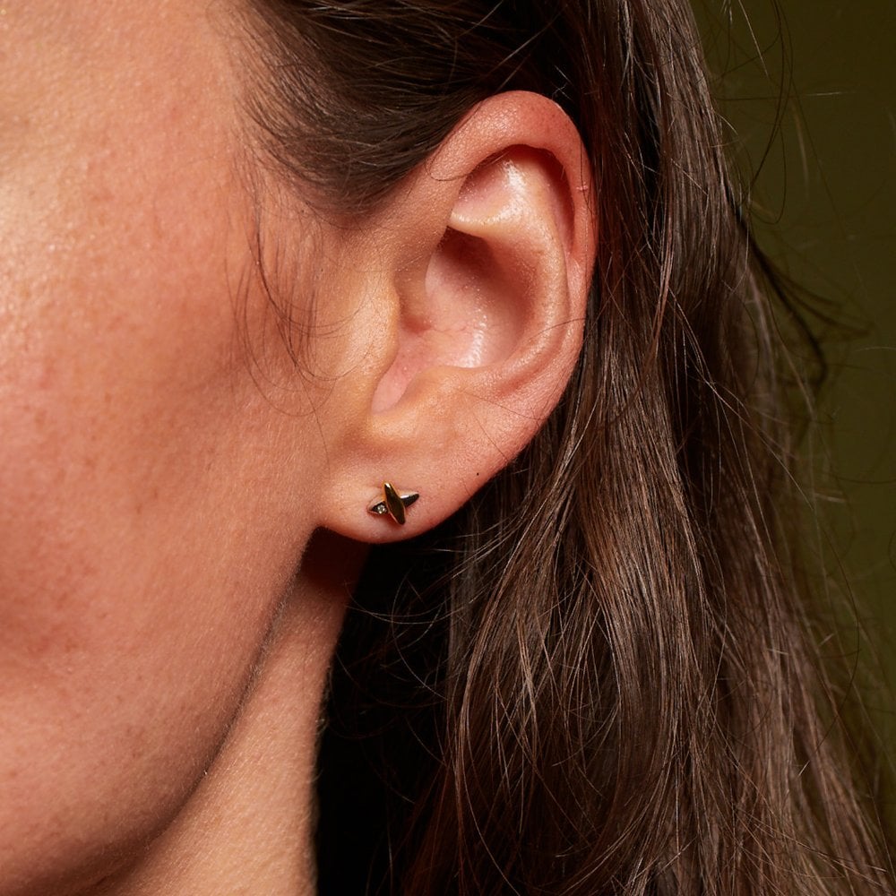 Hot Diamonds Coupled Two-Tone Earrings