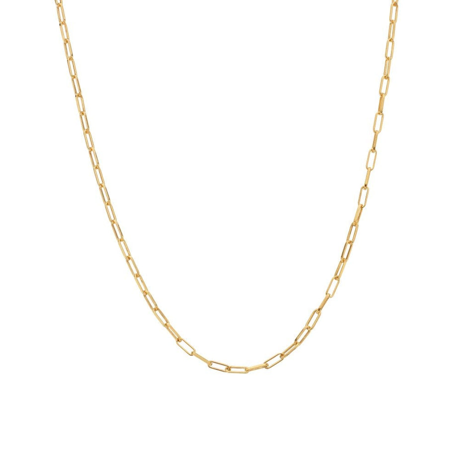 Hot Diamonds Embrace Small Paperclip Chain