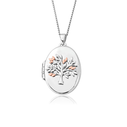 Clogau Tree of Life Oval Locket