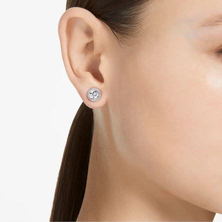 Swarovski Constella Pavé Stud Earrings Rhodium Plated