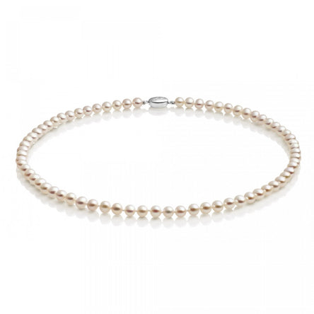 Jersey Pearl 18