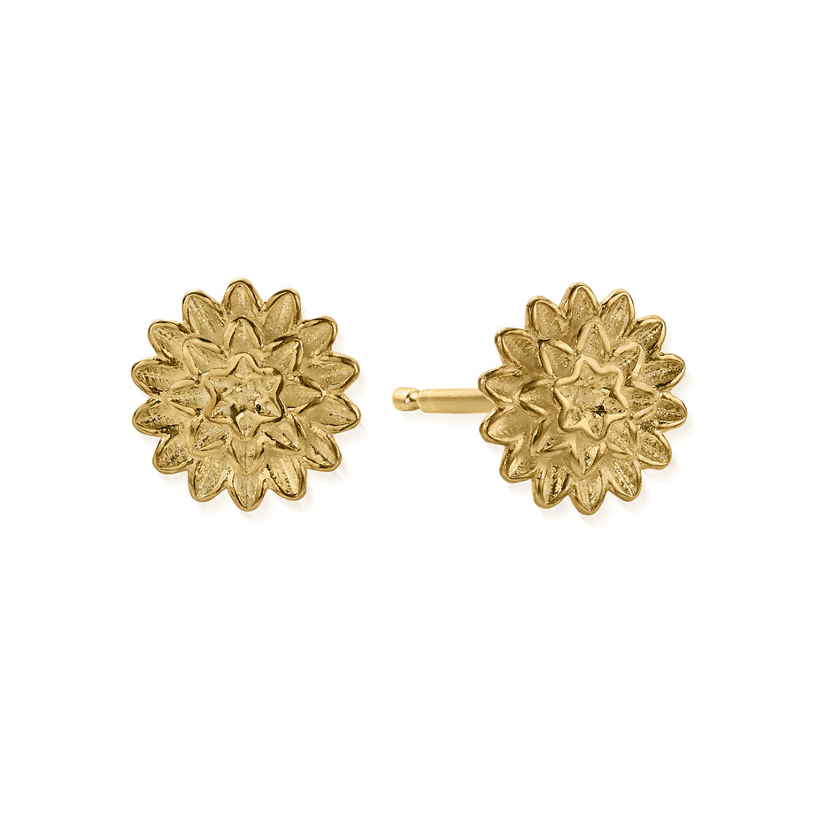 ChloBo Botanical Beauty Stud Earrings Gold