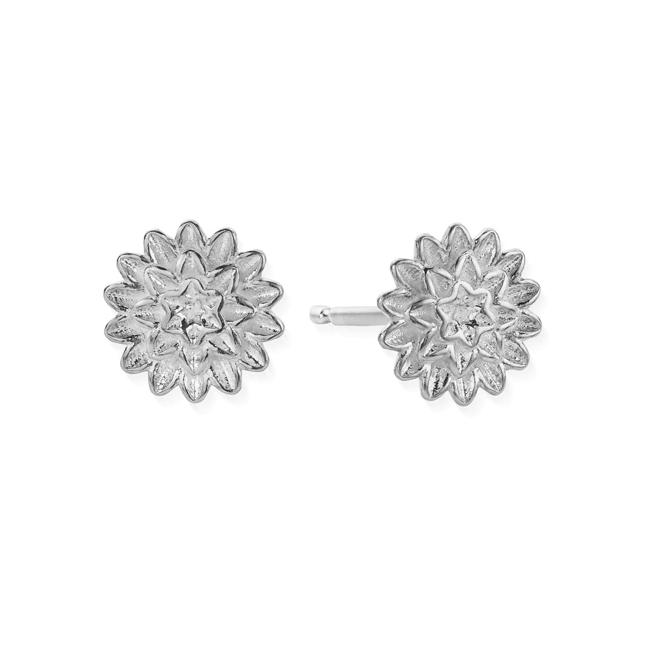 ChloBo Botanical Beauty Stud Earrings Silver