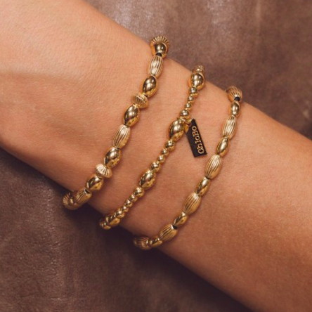 ChloBo Double Rice Bracelet Gold